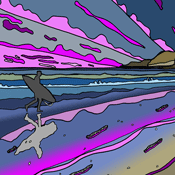 Sunset Surfer 17 2012