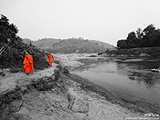 monks #14