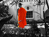 monks #19