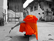 monks #20