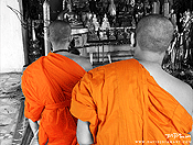 monks #22