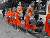 monks #23