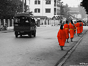 monks #24