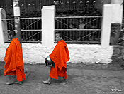 monks #8