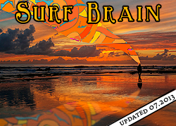 david j diamant - Surf Brain