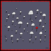 when it rains it pours - 12-110911