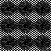 Plexiglass Shadow Art