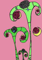 Moon Bloom Matters #13