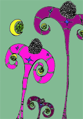 Moon Bloom Matters #3