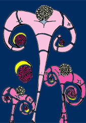 Moon Bloom Matters #7