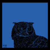 Owls #6 (blue)